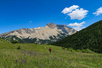 Randonnée pédestre Randonnée pédestre