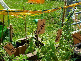 Garderie "Les p'tits loups" à La Joue du Loup Garderie "Les p'tits loups" à La Joue du Loup