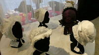 Coiffes du Musée du costume Veynes Coiffes du Musée du costume Veynes